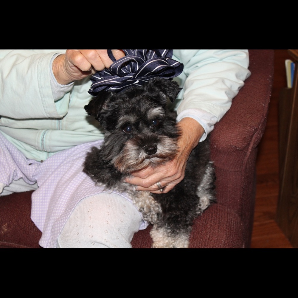 Meet your Posher, Kimberly